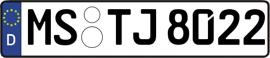 MS-TJ8022