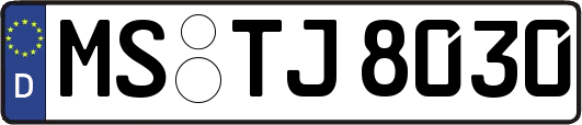 MS-TJ8030