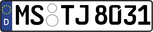 MS-TJ8031