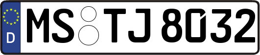 MS-TJ8032