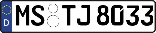 MS-TJ8033
