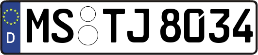 MS-TJ8034