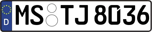 MS-TJ8036