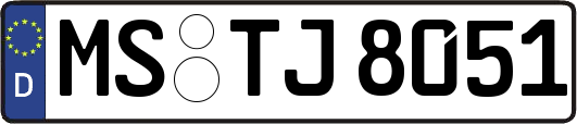 MS-TJ8051
