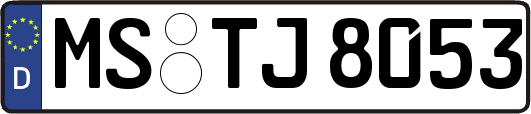 MS-TJ8053