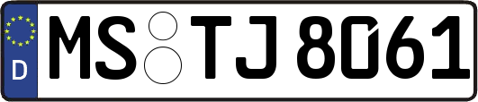 MS-TJ8061