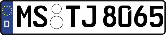 MS-TJ8065