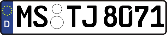 MS-TJ8071
