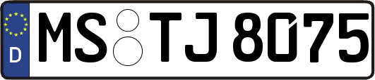 MS-TJ8075