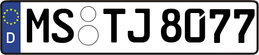 MS-TJ8077