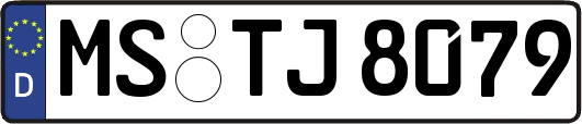 MS-TJ8079