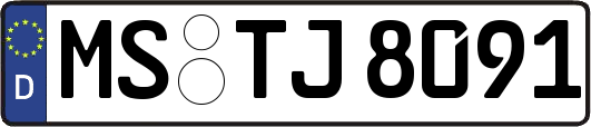 MS-TJ8091