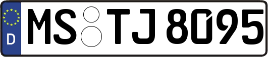 MS-TJ8095