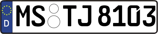 MS-TJ8103