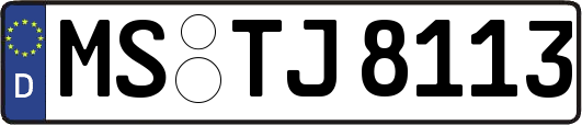 MS-TJ8113
