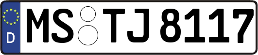 MS-TJ8117