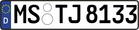 MS-TJ8133
