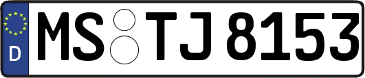 MS-TJ8153