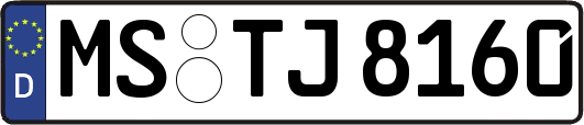 MS-TJ8160