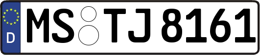 MS-TJ8161