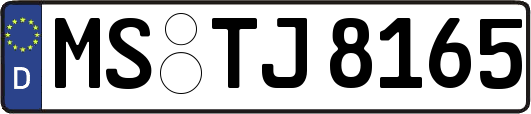 MS-TJ8165