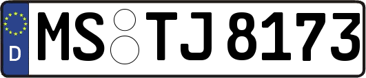 MS-TJ8173