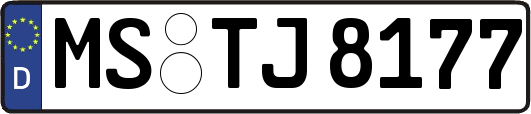 MS-TJ8177