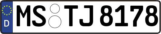 MS-TJ8178
