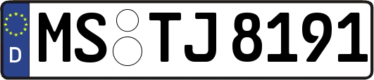 MS-TJ8191
