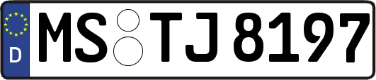 MS-TJ8197