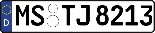 MS-TJ8213