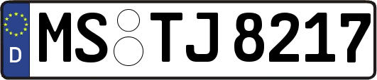 MS-TJ8217