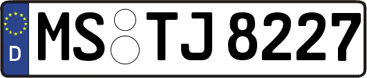 MS-TJ8227