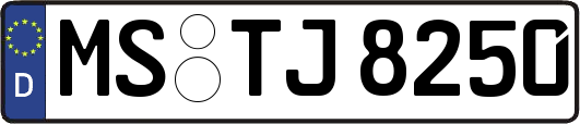 MS-TJ8250