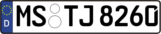 MS-TJ8260