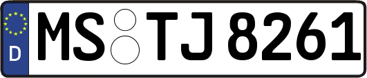 MS-TJ8261