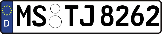 MS-TJ8262
