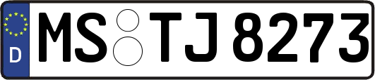 MS-TJ8273