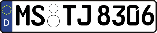 MS-TJ8306