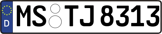 MS-TJ8313