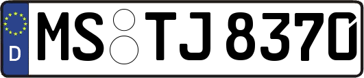 MS-TJ8370