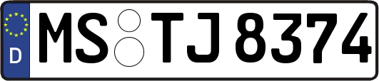 MS-TJ8374