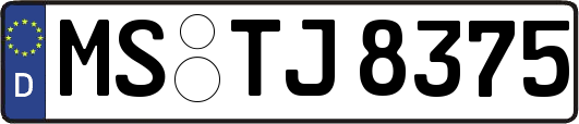 MS-TJ8375