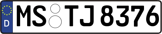 MS-TJ8376