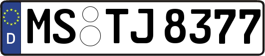 MS-TJ8377