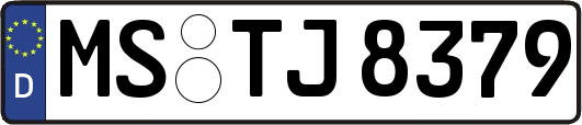 MS-TJ8379