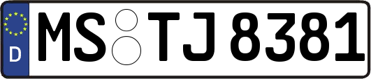MS-TJ8381