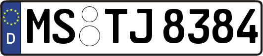 MS-TJ8384