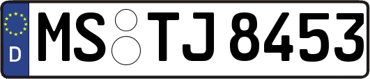 MS-TJ8453