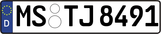 MS-TJ8491